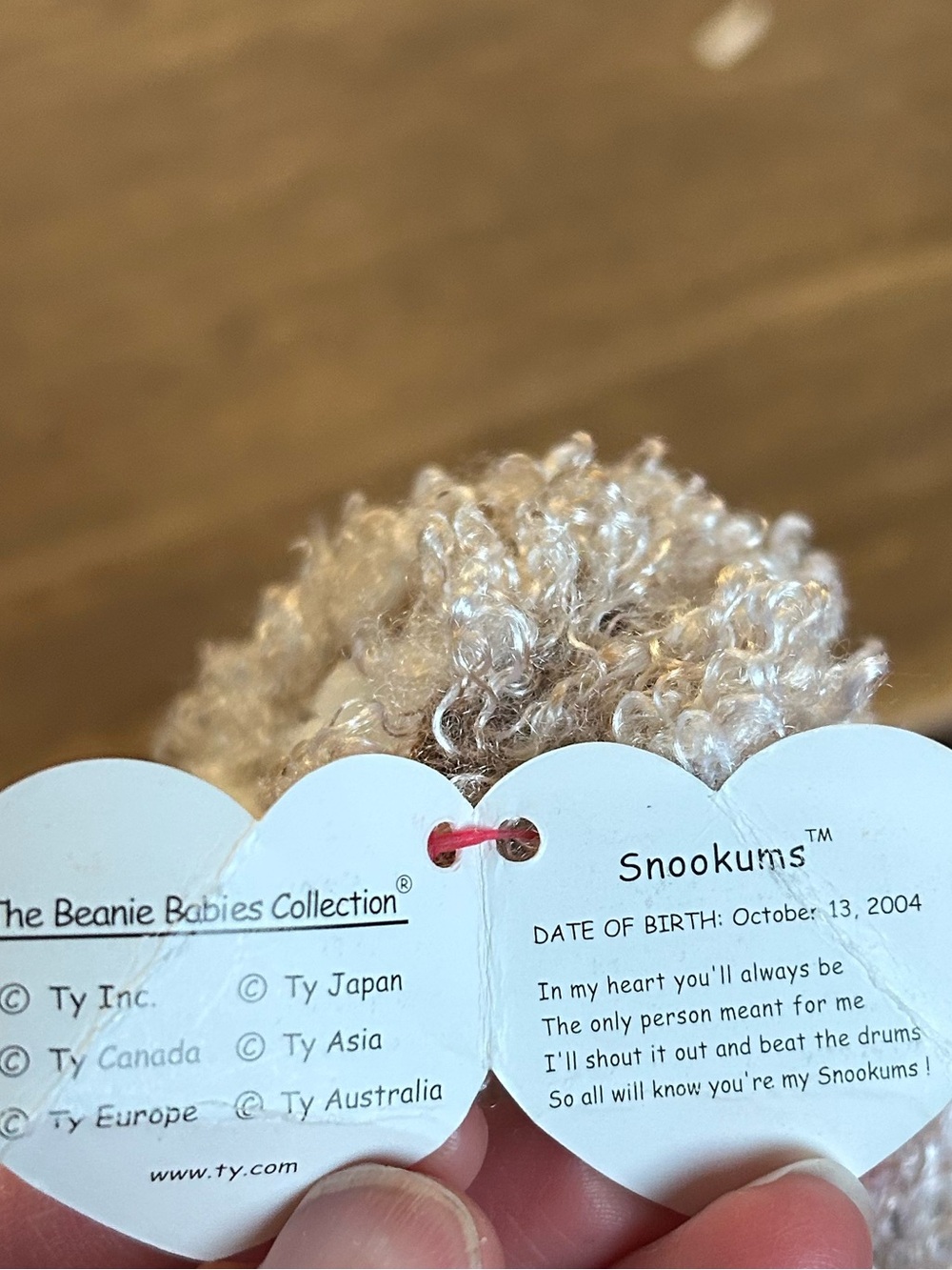 NWT Ty Original Beanie Baby Snookums Dog Curly Hair 2004 Release Plush Collect - Picture 8 of 8